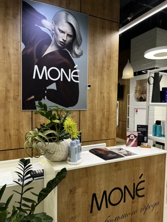 MONE Метрополис